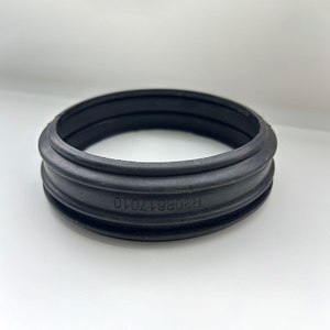 Sealing Ring