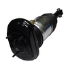 BMW G32 Non-Electric Rear Left And Right Air Strut