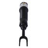 Audi A8D3 Front Air Shock Absorber Assembly