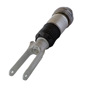 Porsche Panamera 970 Front Air Shock Assembly